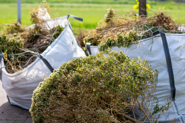 Best Attic Cleanout Services  in St Clair, MO